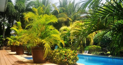 Golden Palm Resort