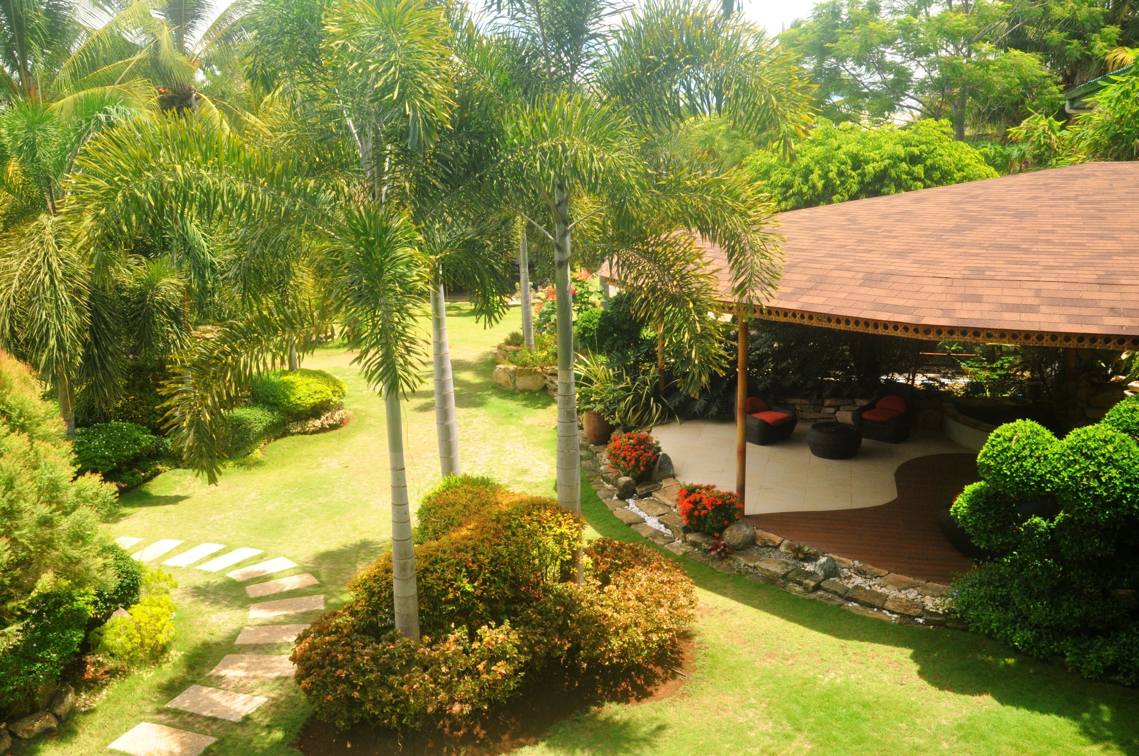 A lush garden with palm trees, a paved patio with outdoor seating, and a stone pathway.