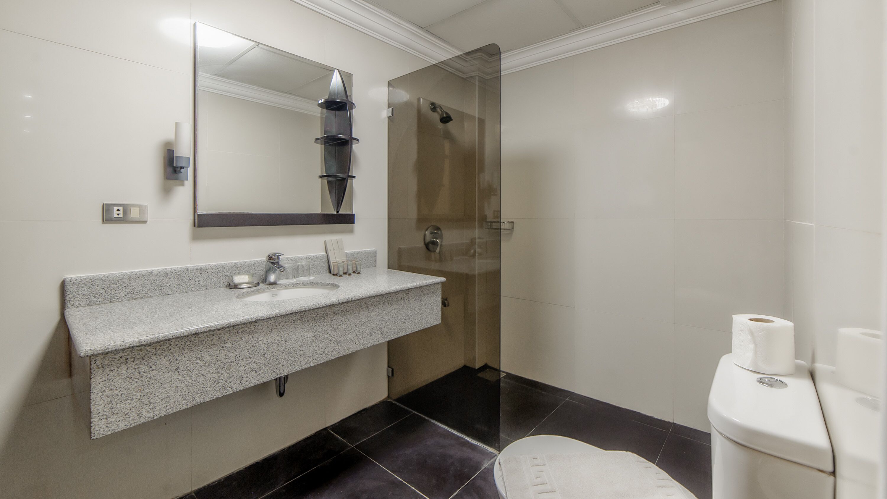 A modern bathroom with a granite countertop sink, a large mirror, a glass-enclosed shower, and a toilet with a paper towel holder.