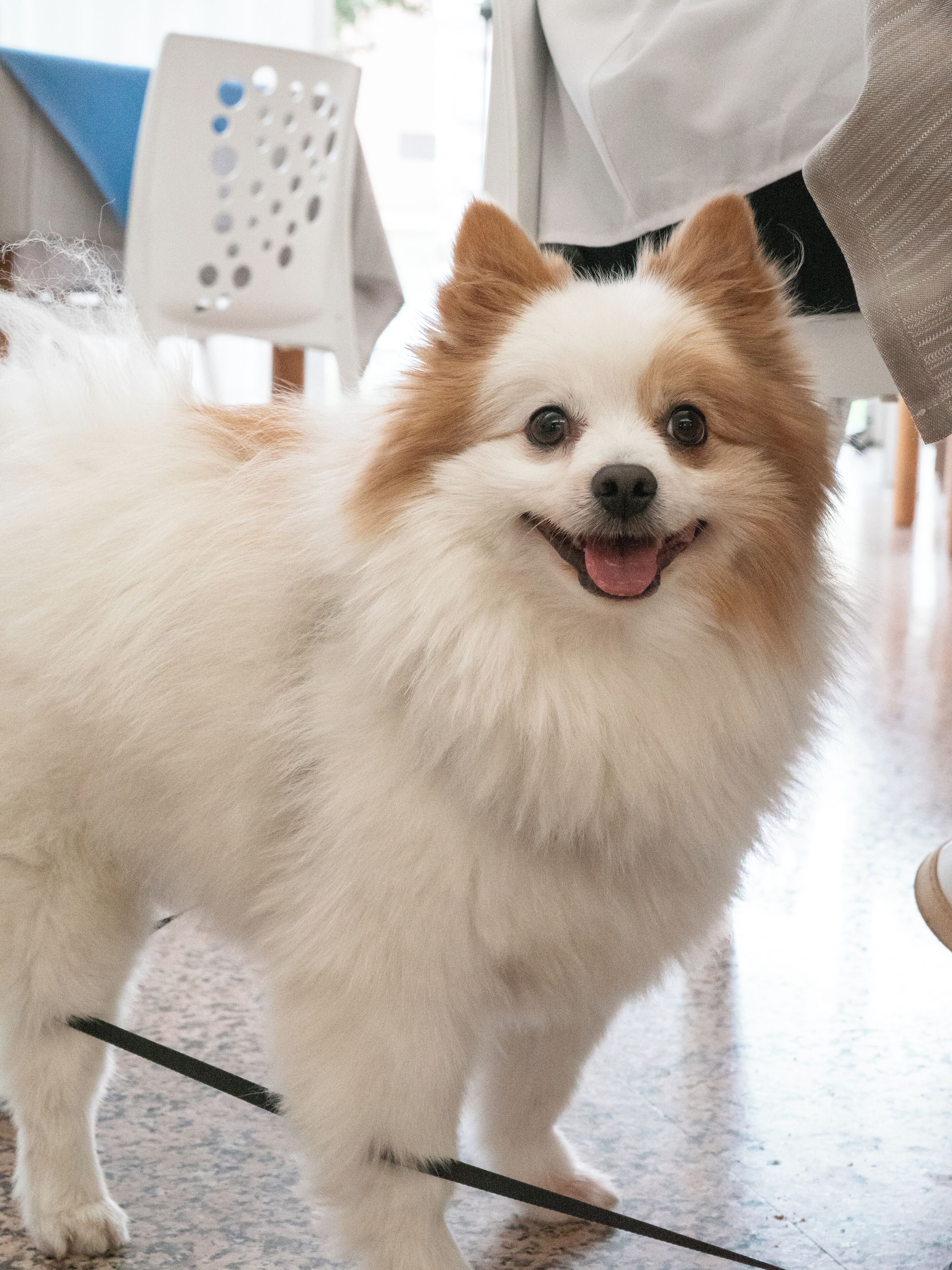 Foto - Hotel Le Querce