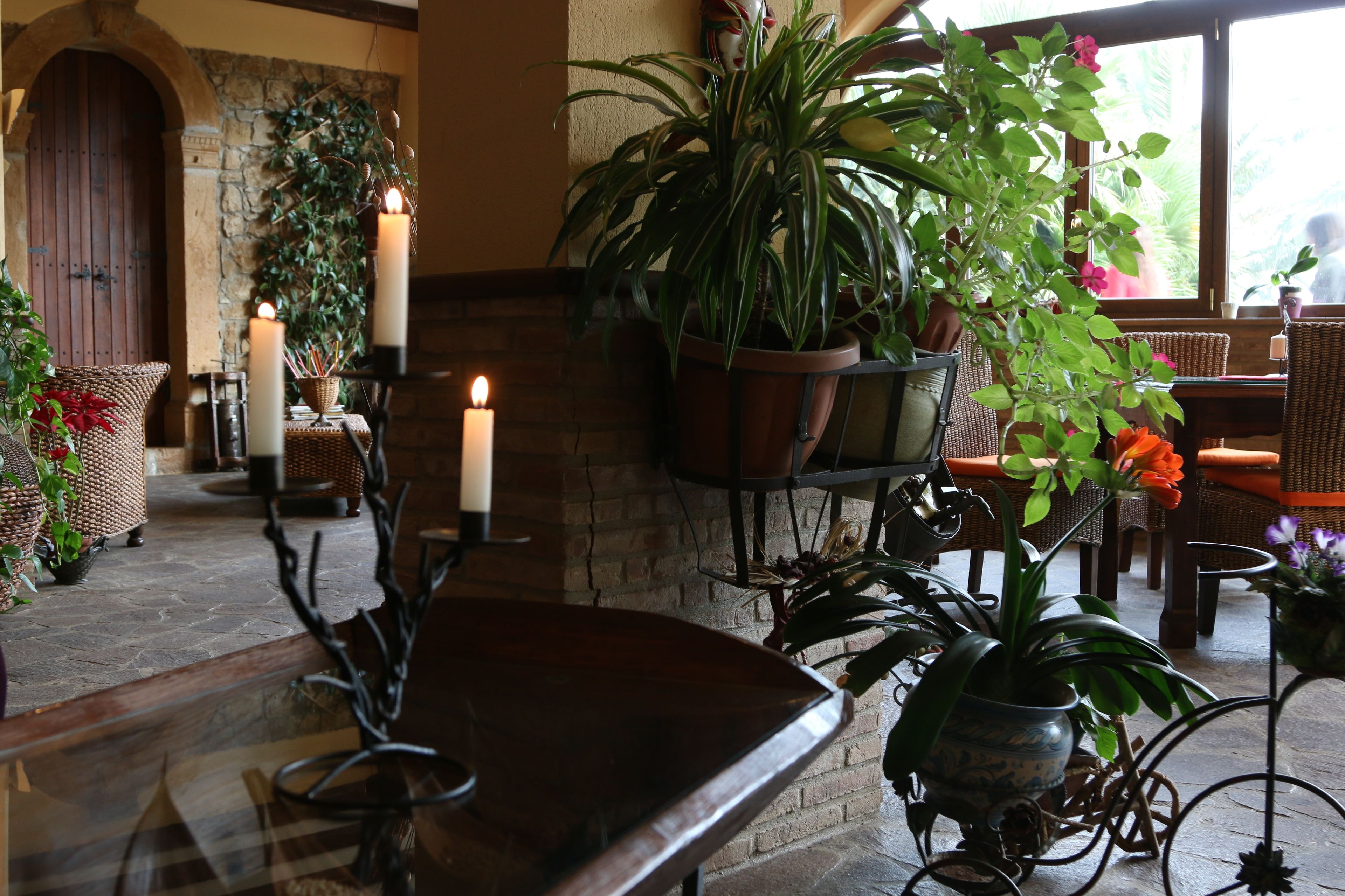 Un interior acogedor con chimenea de piedra, velas y plantas en macetas.