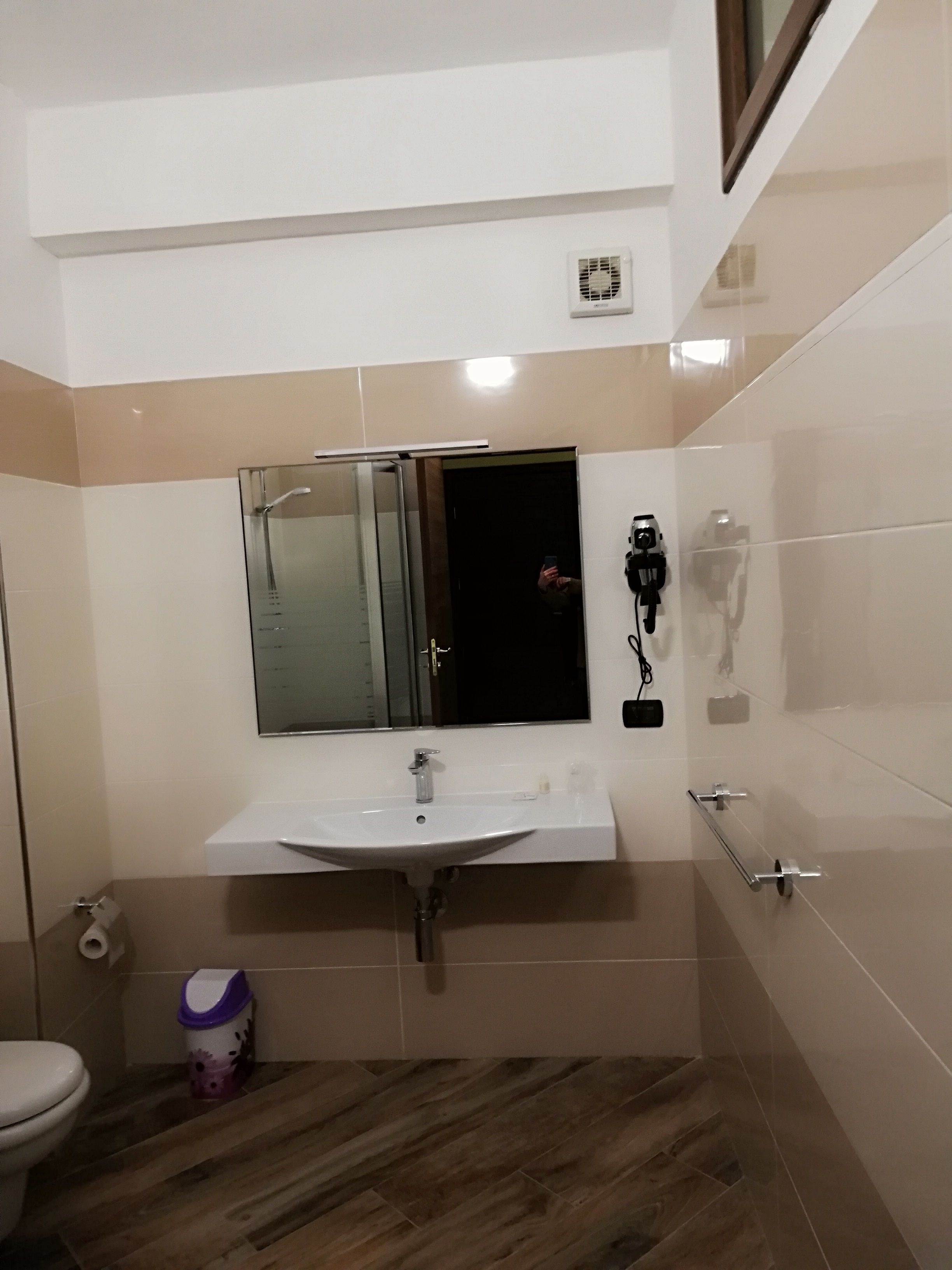 A bathroom with a white sink, a mirror, a shower, and a toilet.