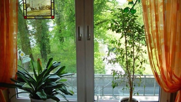 Comedor con una mesa para dos, una planta en maceta y vistas a la vegetación.
