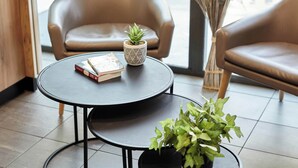 Mesa redonda com planta em vaso e livros, cadeira de couro marrom e vista para o exterior.