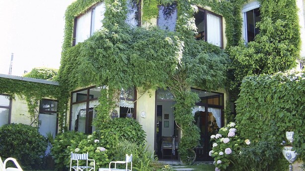 A house with ivy-covered walls and a garden with potted plants and flowers. - Posada del Angel (Colonia del Sacramento)