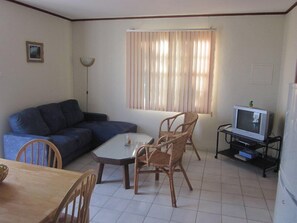 Basic Apartment, 1 Bedroom, Mountain View | Living area