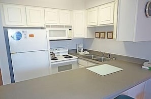 Großer Kühlschrank, Mikrowelle, Herdplatte, Geschirrspüler
