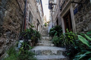 Uma escadaria de pedra estreita leva a uma entrada de edifício, cercada por vegetação exuberante e plantas em vasos.