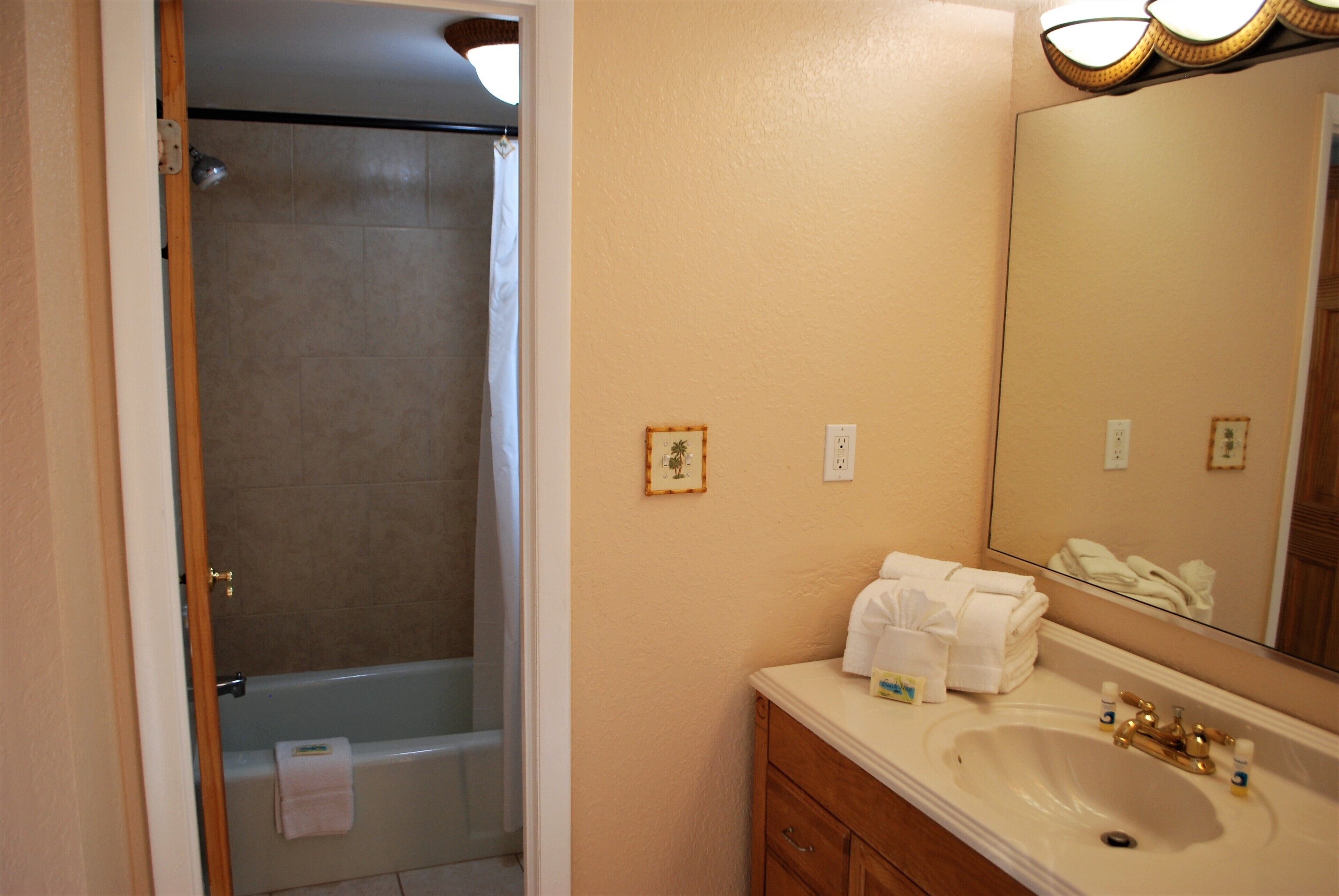 combined shower/bathtub, free toiletries, hair dryer, towels