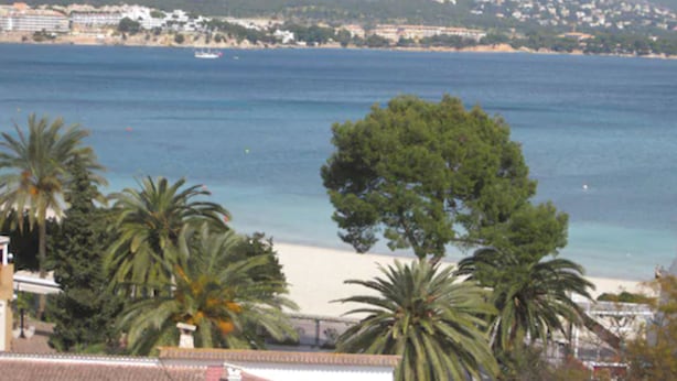 Vista costera con playa, palmeras y una cadena montañosa distante.