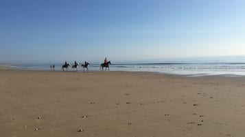 NĂ€ra stranden