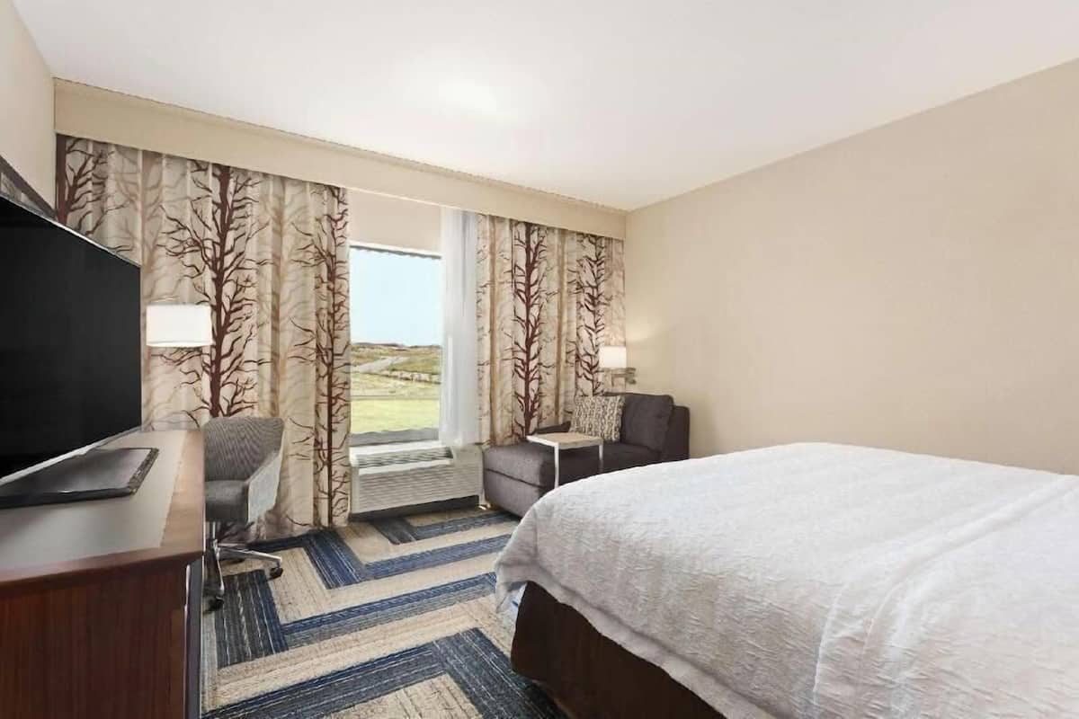 A hotel room with a bed, a desk, a chair, a TV, and curtains with a tree pattern.