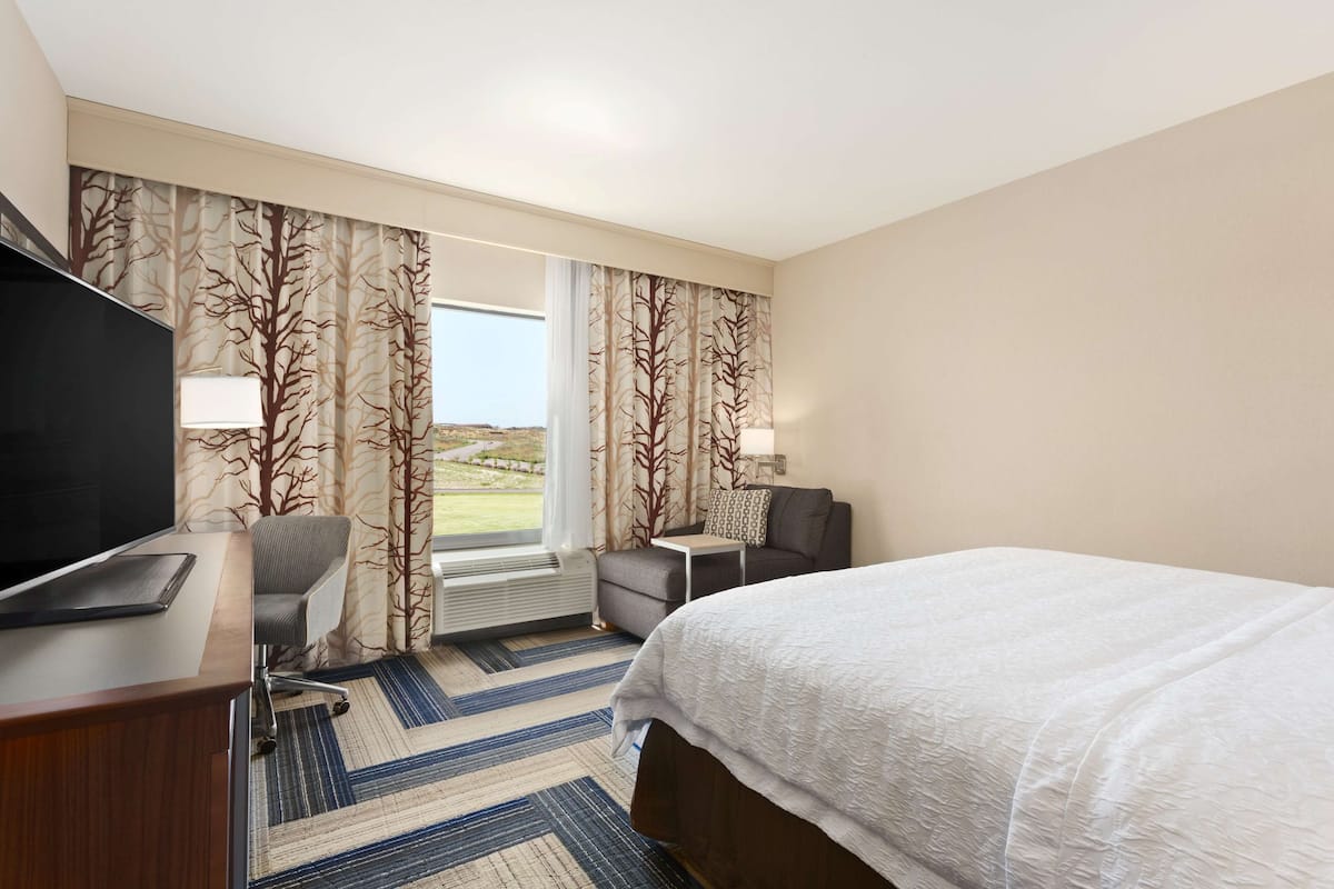 A hotel room with a bed, a desk with a flat-screen TV, a chair, a small table, and curtains with a tree pattern.