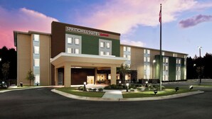 A hotel with a modern facade, a prominent entrance, and a flagpole. - Springhill Suites Mobile (Mobile)