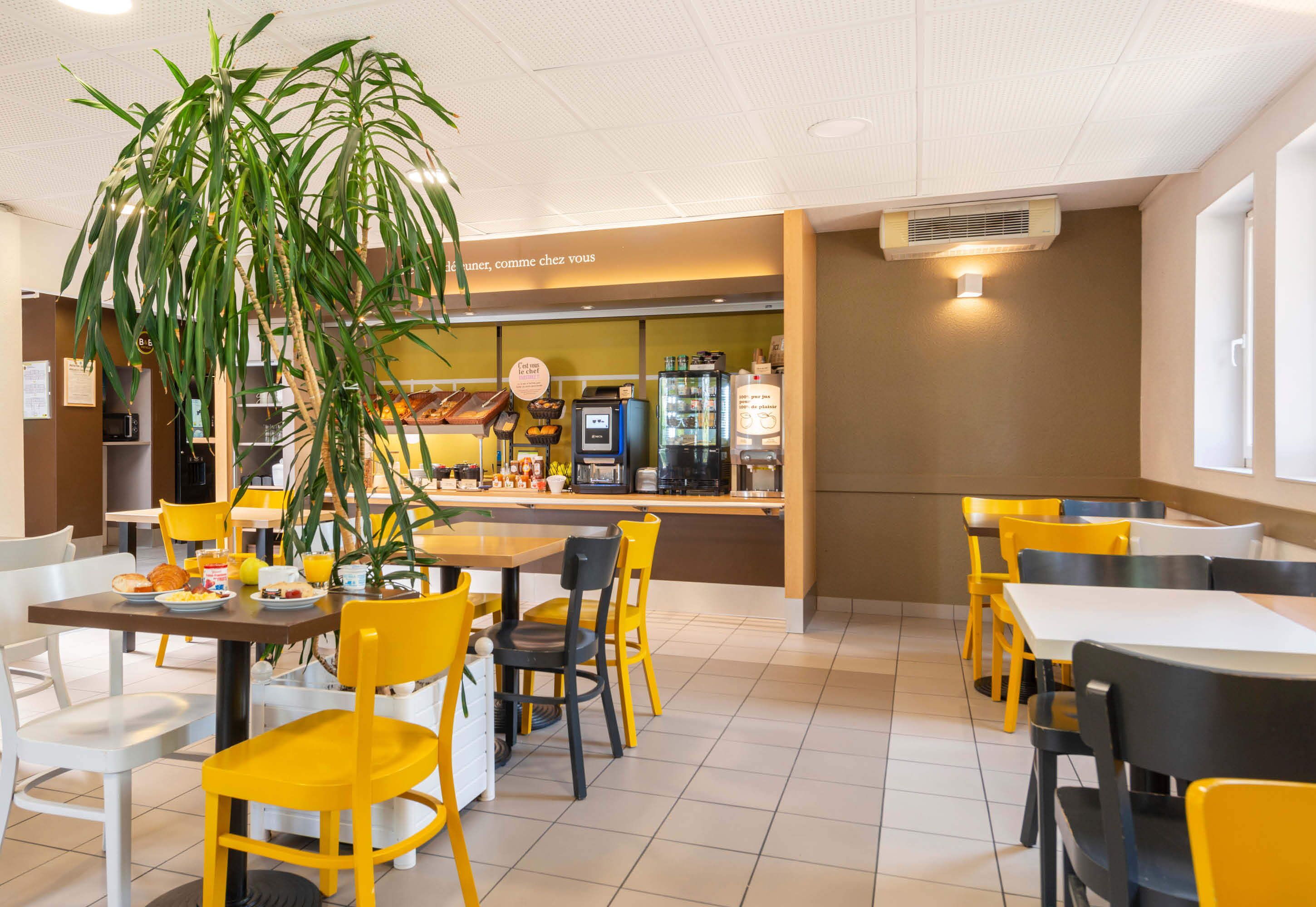 Un restaurante con sillas amarillas y blancas, una planta grande en maceta y una barra con una máquina de café.