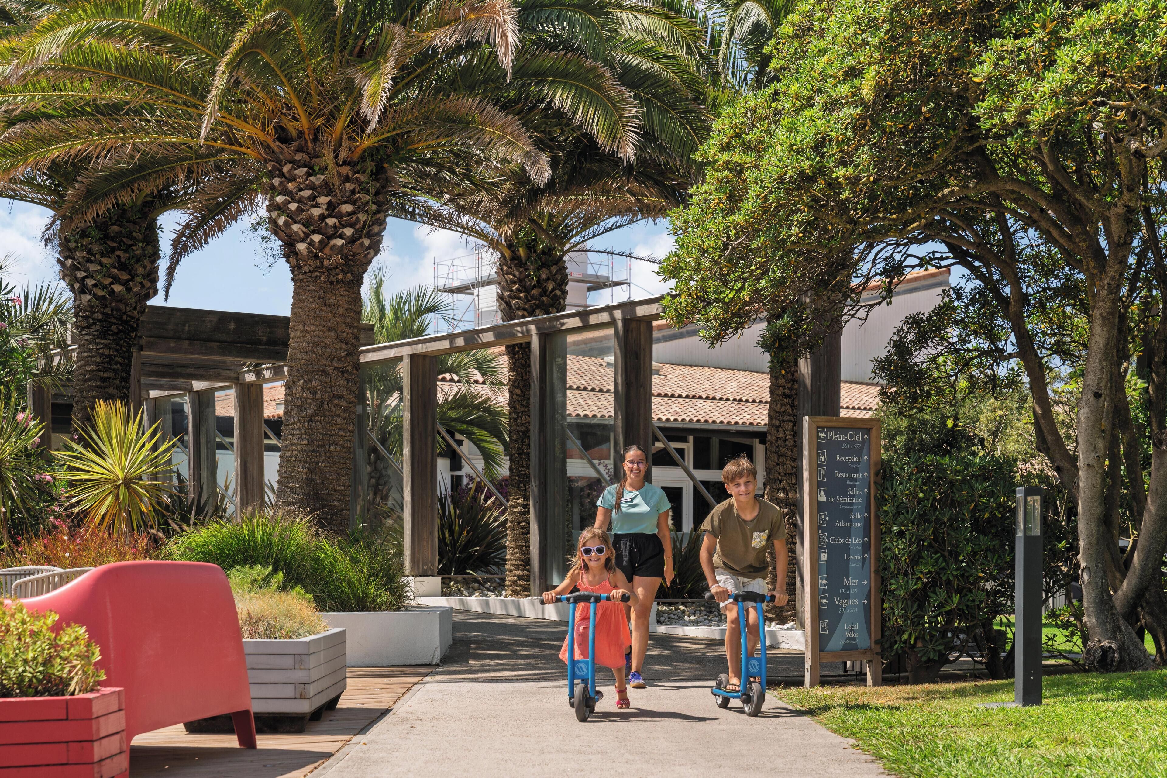 A pathway lined with palm trees and a red chair, leading to a building with a signboard.