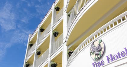 Lilac Tree Suites