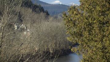 Une rivière traversée par un pont, bordée d’arbres, avec une montagne enneigée en arrière-plan.