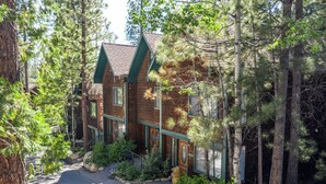 A lodge with a rustic design, surrounded by tall pine trees and a stone pathway leading to the entrance.