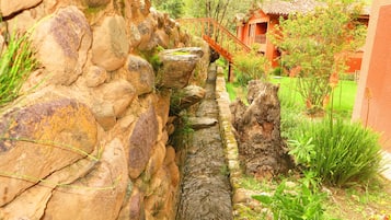 Vườn