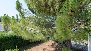 JardĂn