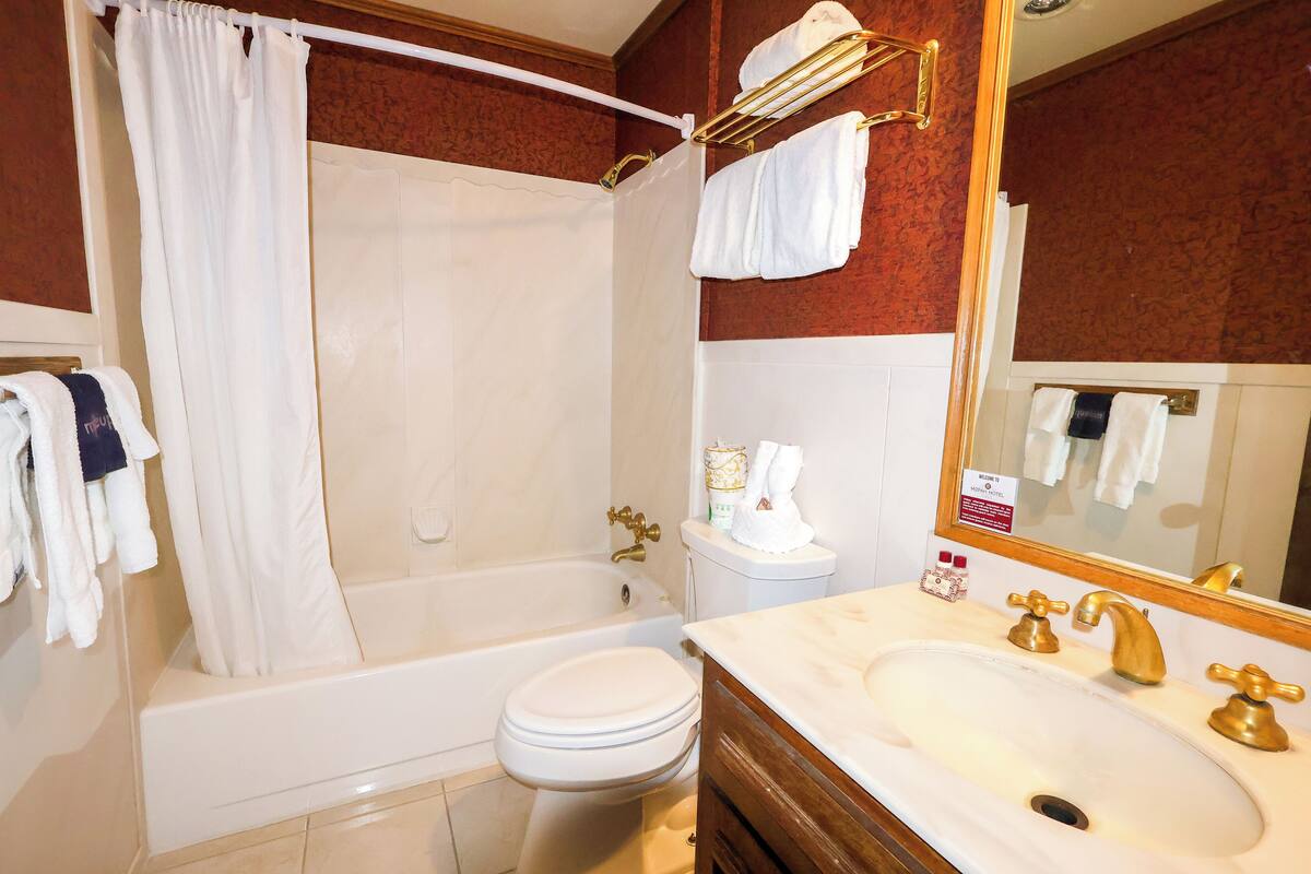 combined shower/bathtub, free toiletries, hair dryer, towels