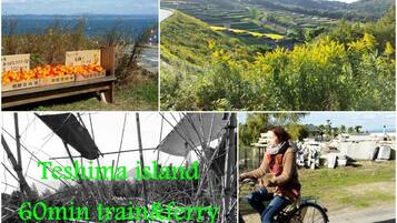 Individually decorated, bed sheets