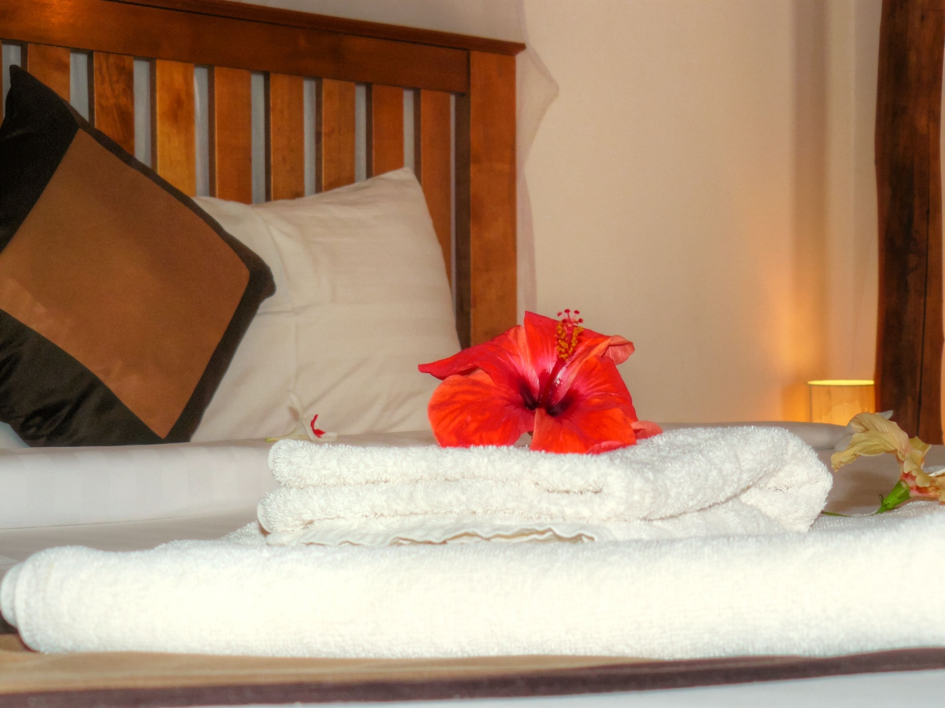 bungalow double thatched roof | minibar, individually decorated, desk, free wifi