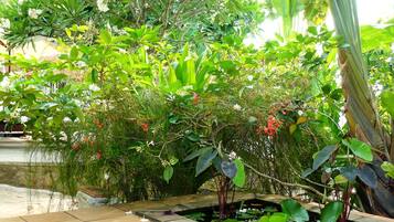 Un jardin avec un chemin dallé, une végétation luxuriante et un petit étang.