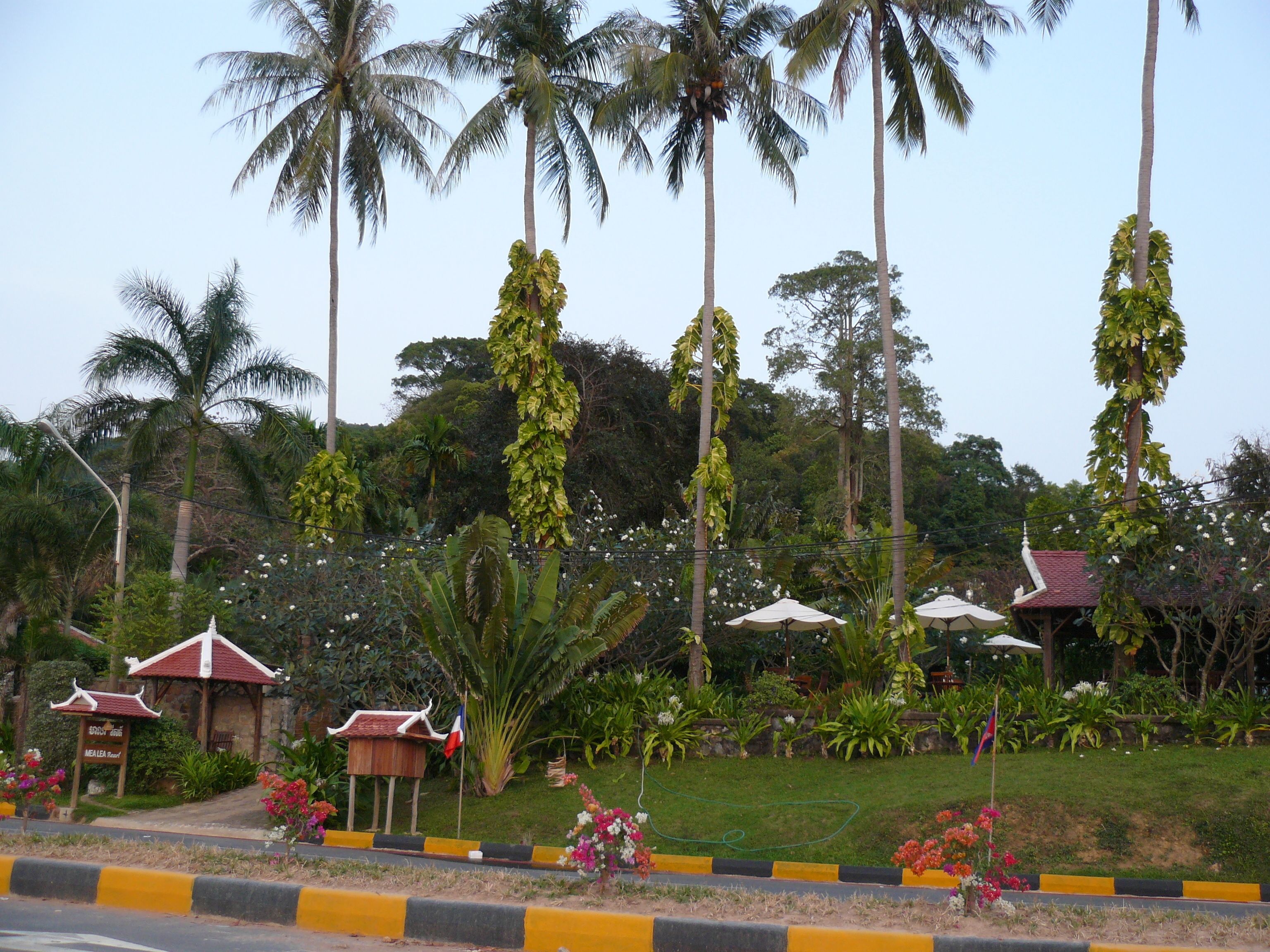 A tropical resort with palm trees, a gazebo, and a well-maintained garden.