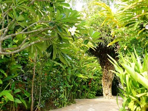 Courtyard - Mealea Resort (Kep)