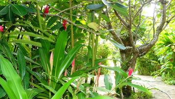A lush garden with various green plants and trees.