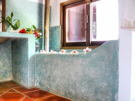 Shower, free toiletries, hair dryer, towels