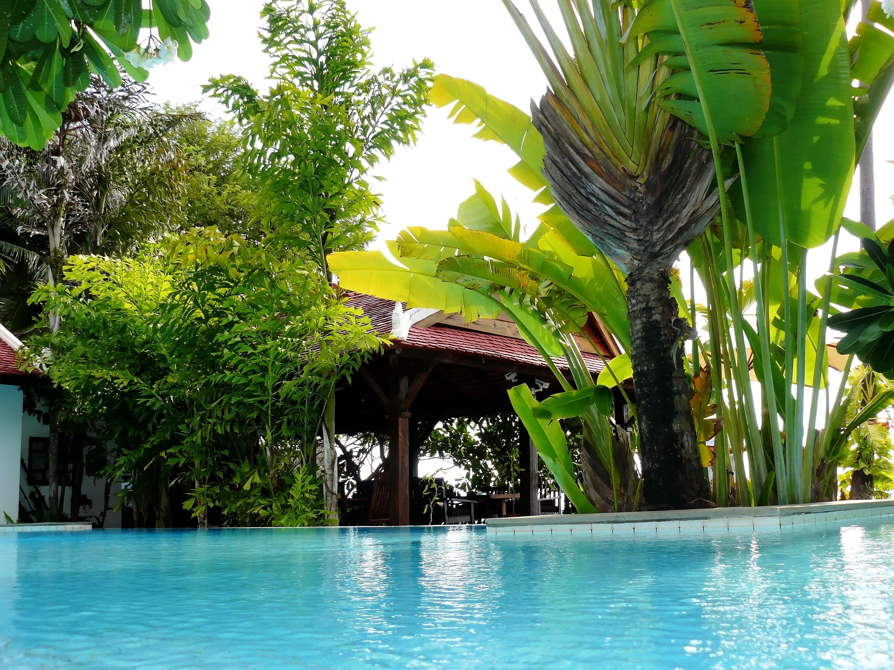 outdoor pool, an infinity pool, pool umbrellas, pool loungers