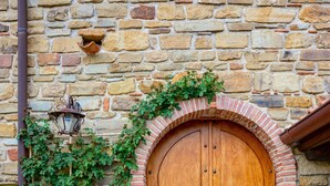 Un mur de pierre avec une porte à deux battants en bois, une lanterne en métal et un pot de fleurs contenant une plante grimpante.