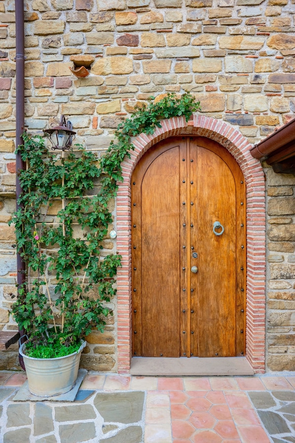 A stone wall with a wooden double door, a metal lantern, and a potted plant with climbing vines.