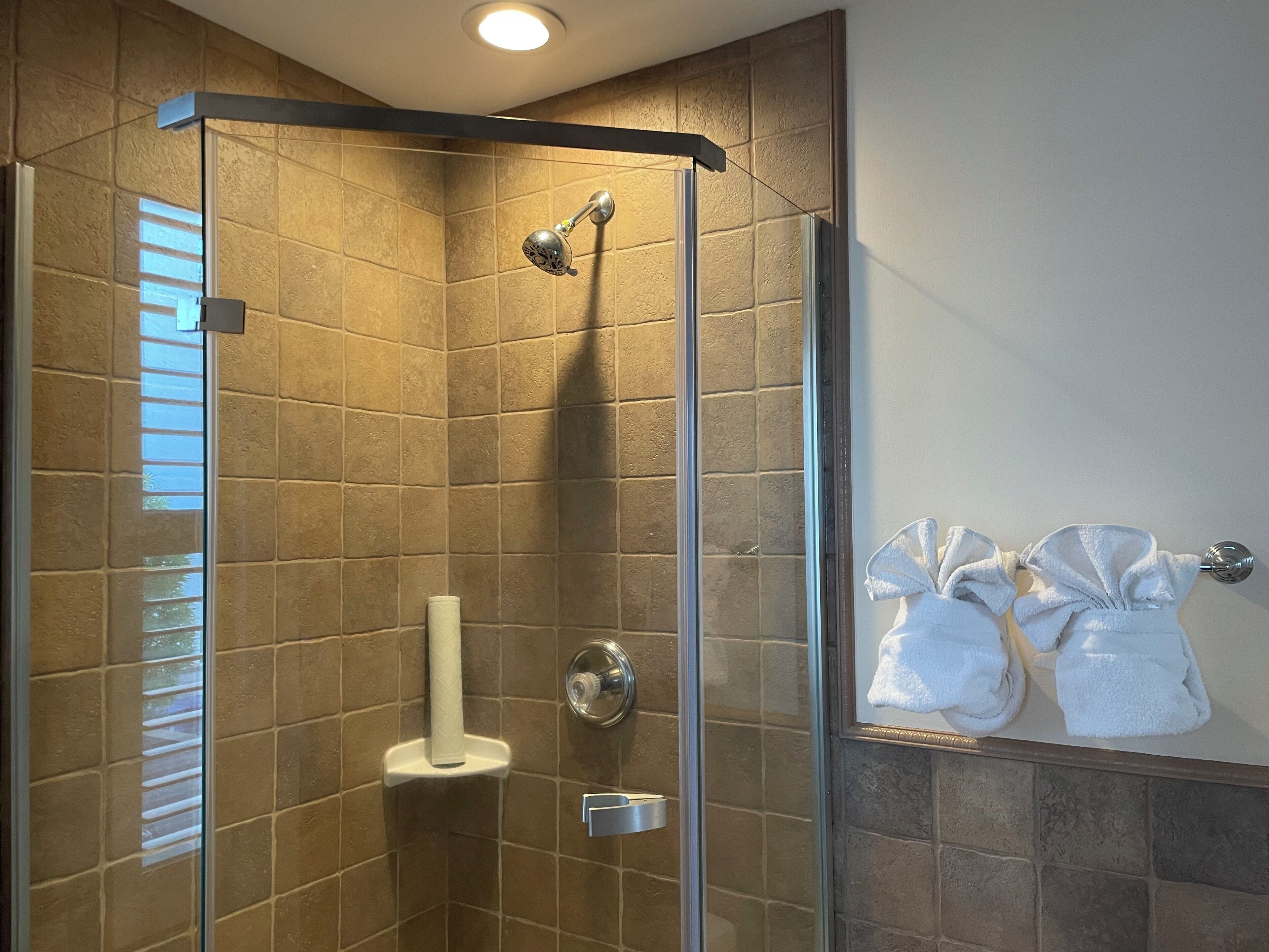 A glass-enclosed shower with a handheld showerhead, a toilet paper holder, and a towel rack with towels.