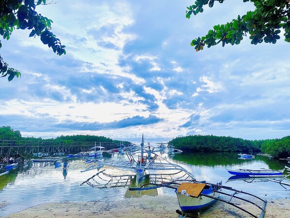 Beach/ocean view - Virgin Island Beach Resort and Spa (Panglao)