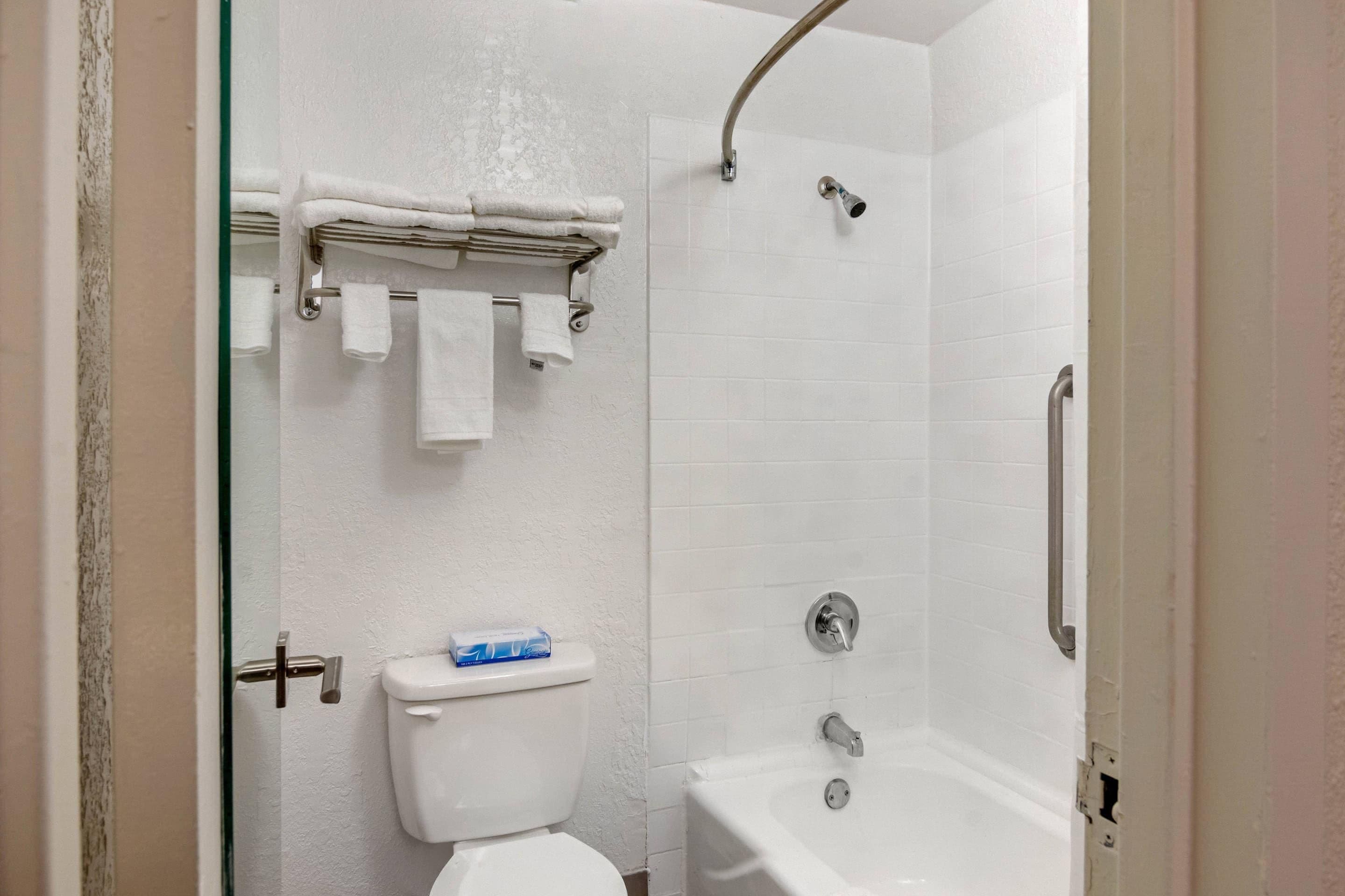 A bathroom with a toilet, a shower, and a towel rack.