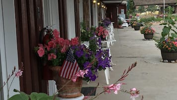 A hotel corridor with a row of potted plants and American flags, a covered walkway, and a view of the surrounding landscape.