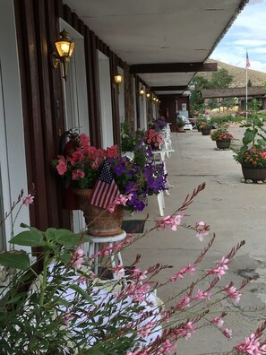 Interior - Black Bear Inn (Dubois)
