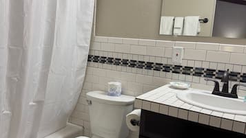 Une salle de bain équipée de toilettes, d’un lavabo, d’un miroir et d’un rideau de douche.