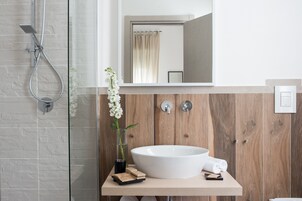 Shower, free toiletries, hair dryer, bidet