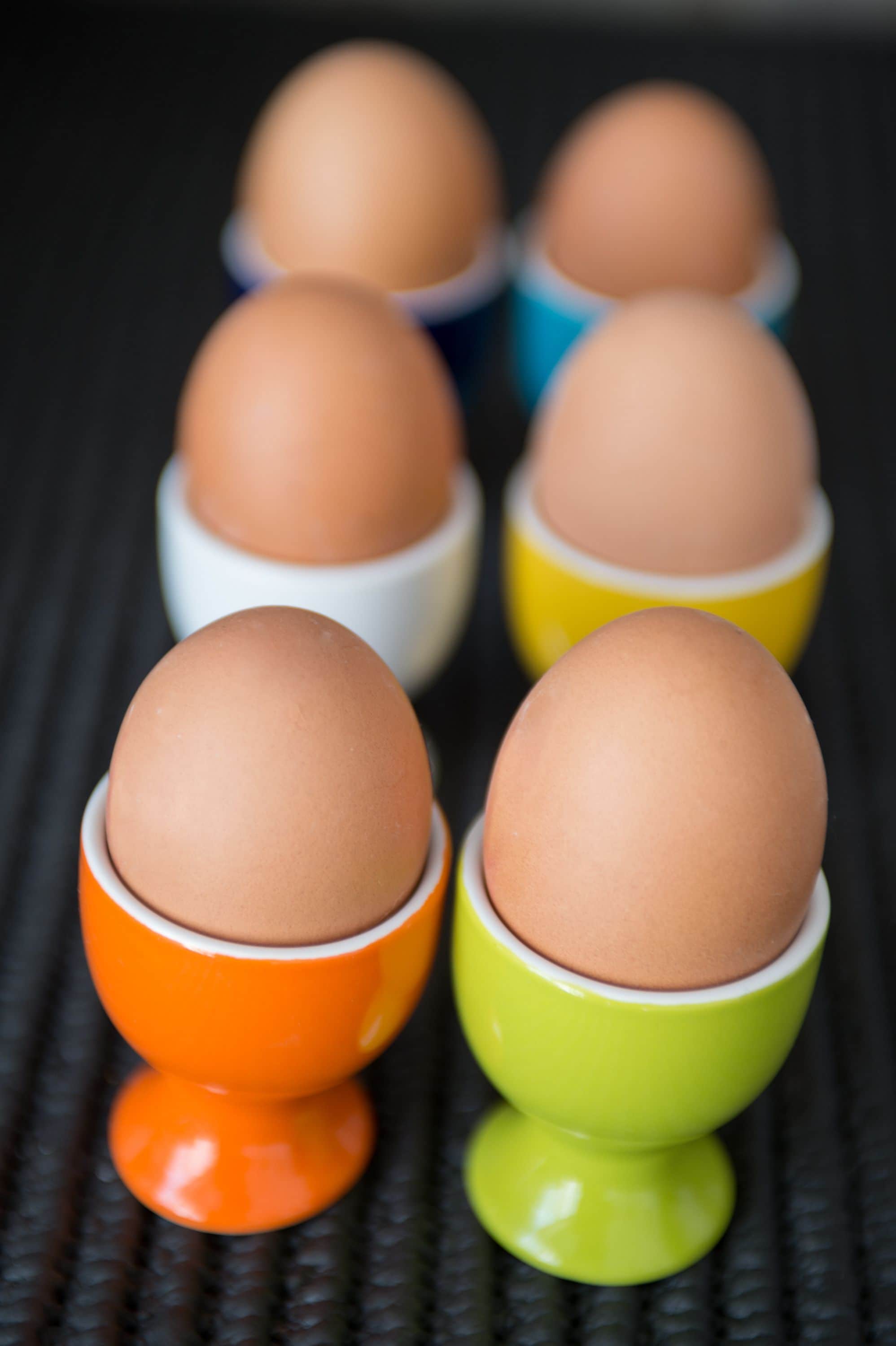 Foto - La Maison des Tout le Monde