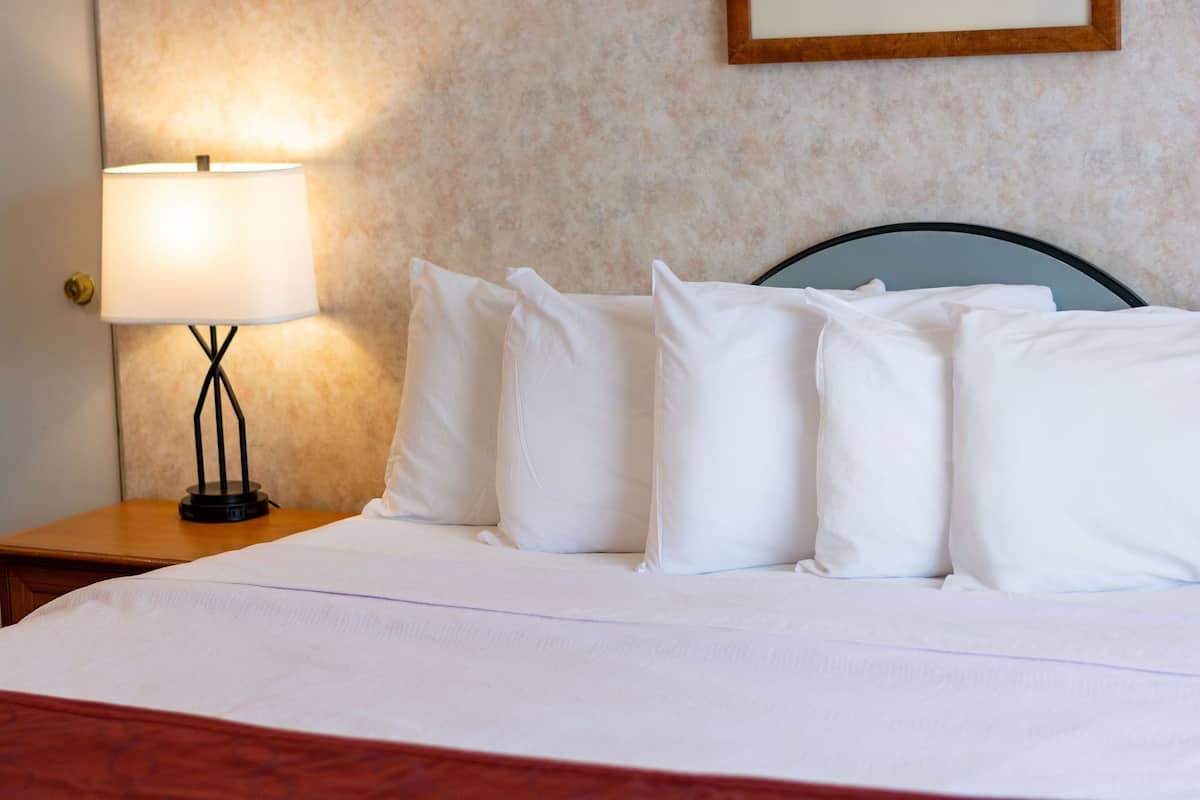 A neatly made bed with white linens and pillows, a bedside lamp, and a wooden nightstand.