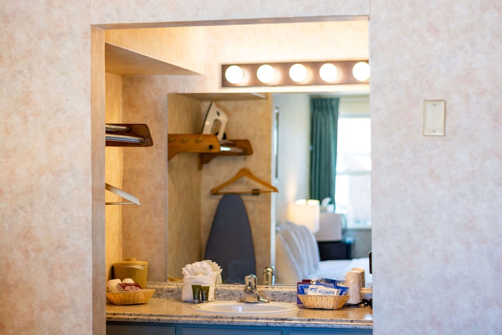 Swiss Alps Inn by null