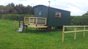 A green mobile home with a wooden deck and a small window, situated in a grassy field with trees in the background. - Shepherds Lodge (Worcester)