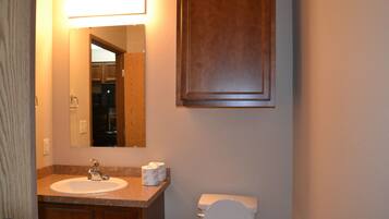 Studio Tradisional | Kamar mandi | Shower, pengering rambut,  dan handuk
