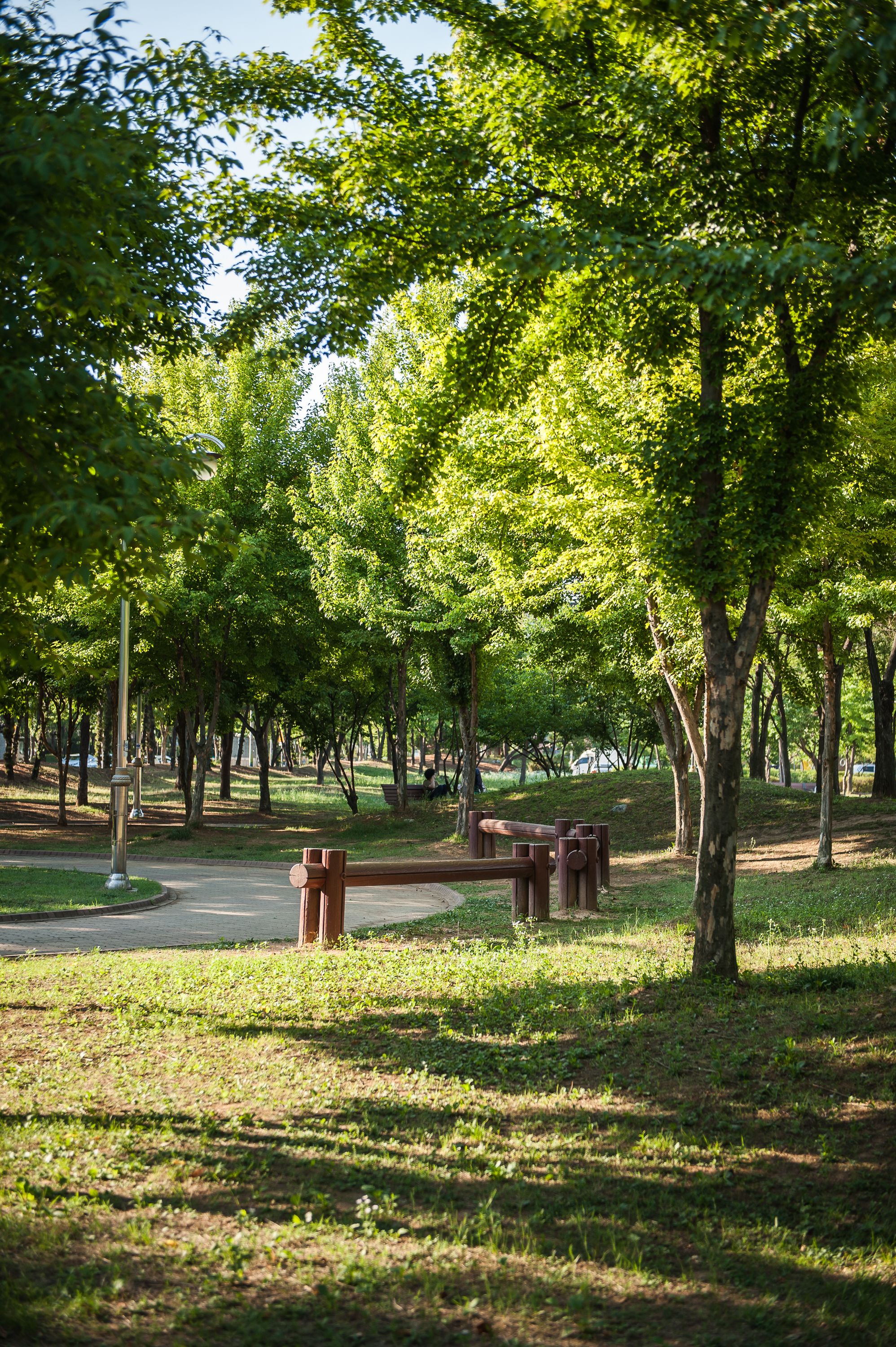 Un parque con bancos, árboles y un sendero.