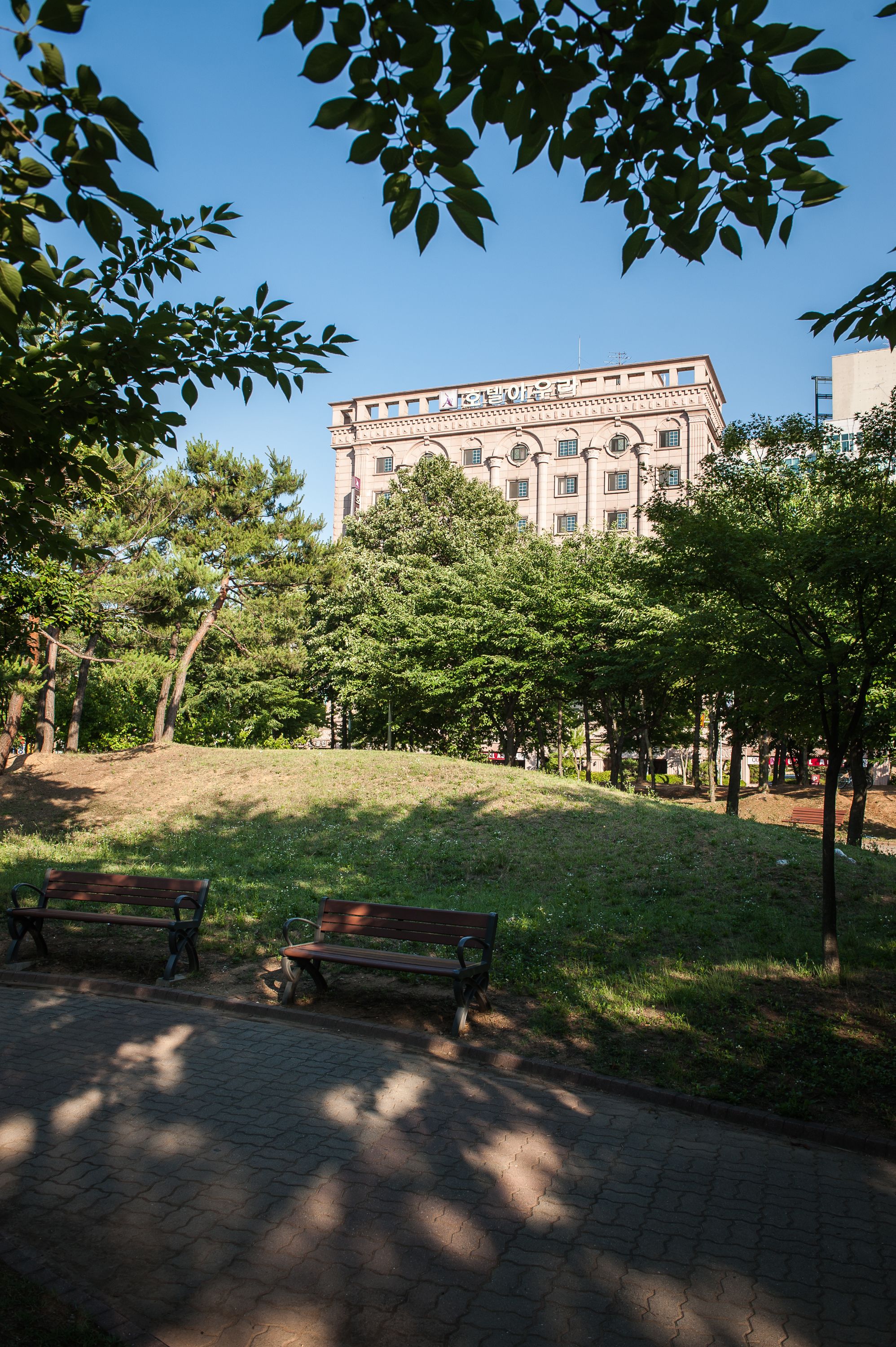 Un parque con bancos y árboles, un sendero pavimentado y un edificio de arquitectura clásica al fondo.